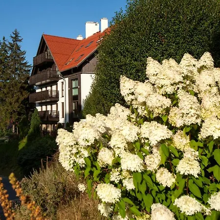 Panorama Gor - Centrum Miasta, Z Widokiem Na Szrenice * Szklarska Poreba