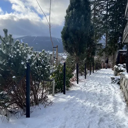 Panorama Gor - Centrum Miasta, Z Widokiem Na Szrenice * Szklarska Poreba